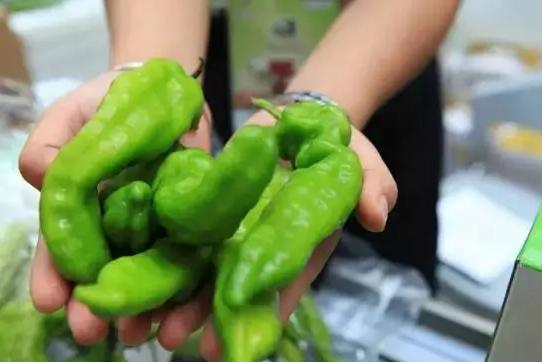 雙十一狂歡下，有機農產品能否依然“好酒不怕巷子深”？