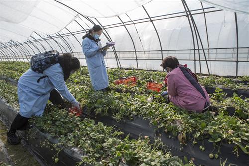 市農(nóng)業(yè)農(nóng)村局三步走保障疫情防控期間農(nóng)產(chǎn)品質(zhì)量安全