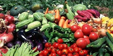 皖校食堂攜手，愛心采購(gòu)助農(nóng)惠學(xué)